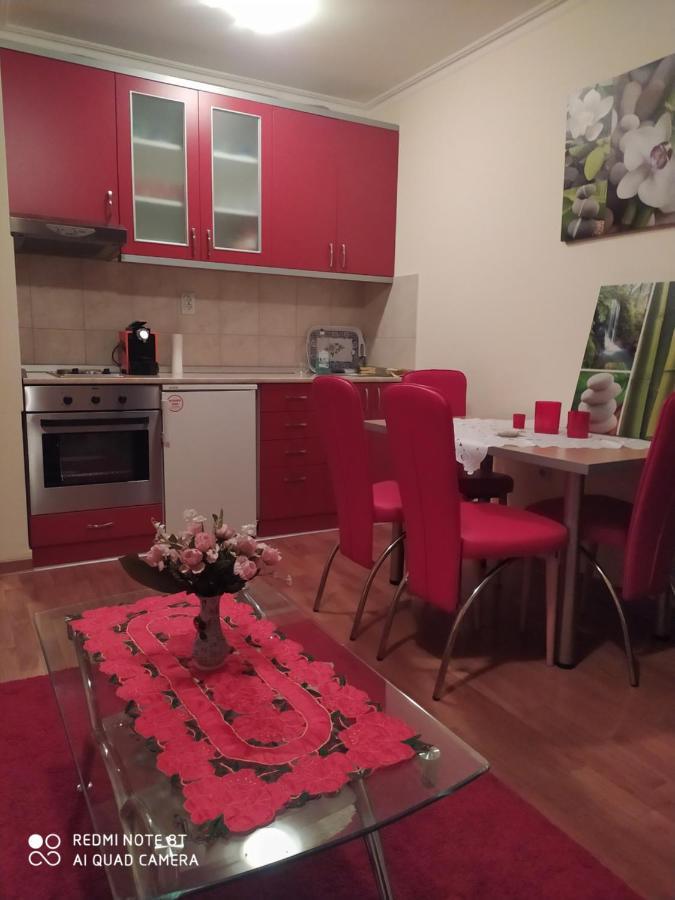 Apartman Arsenijevic Врнячка-Баня Экстерьер фото